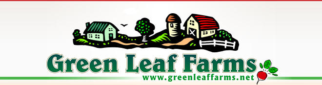 Green Leaf Farms - Michigan Grass Fed Beef, free-ranging chickens and turkeys, and organic farm vegetables